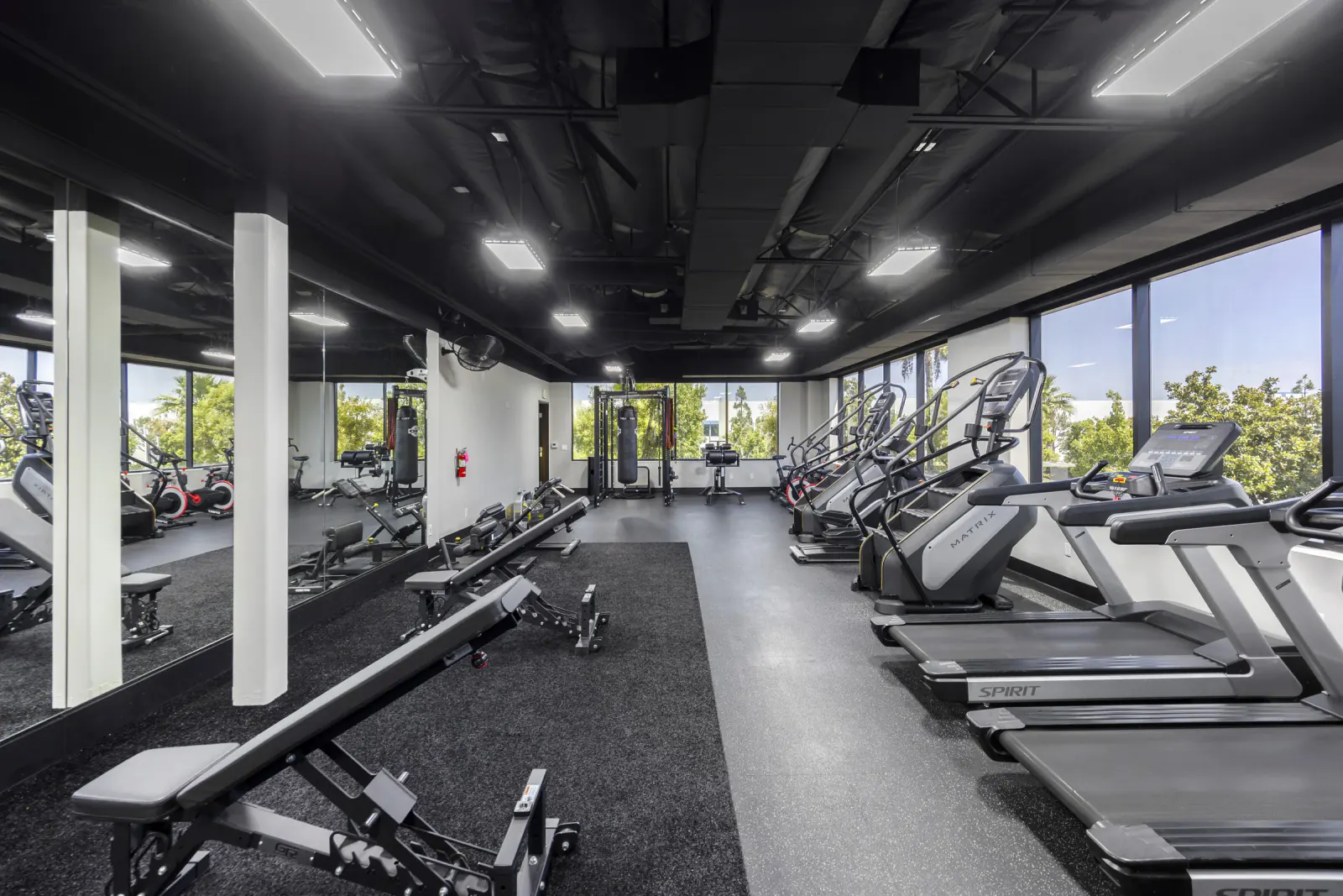 Full Suite of Cardio Machines